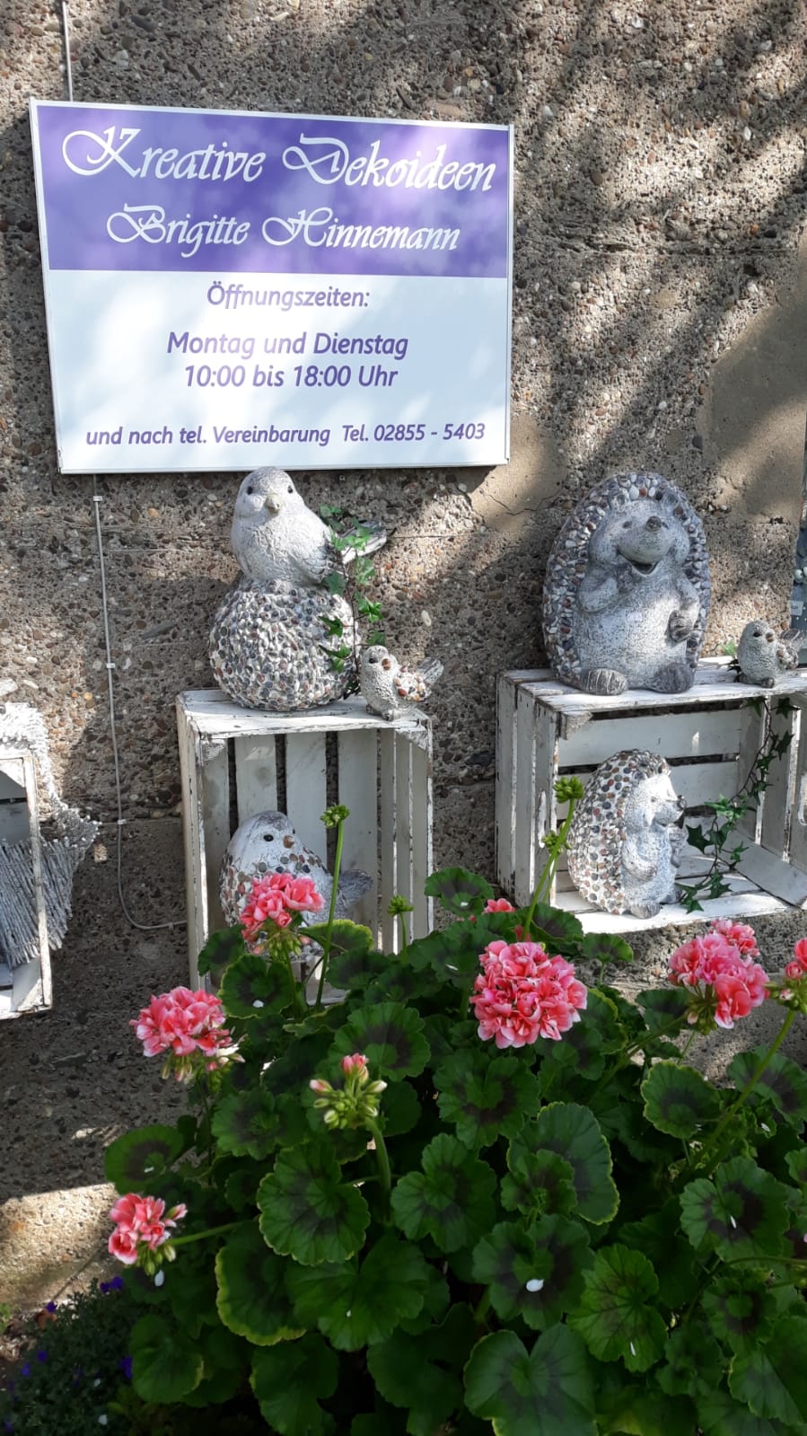 Galeriebild