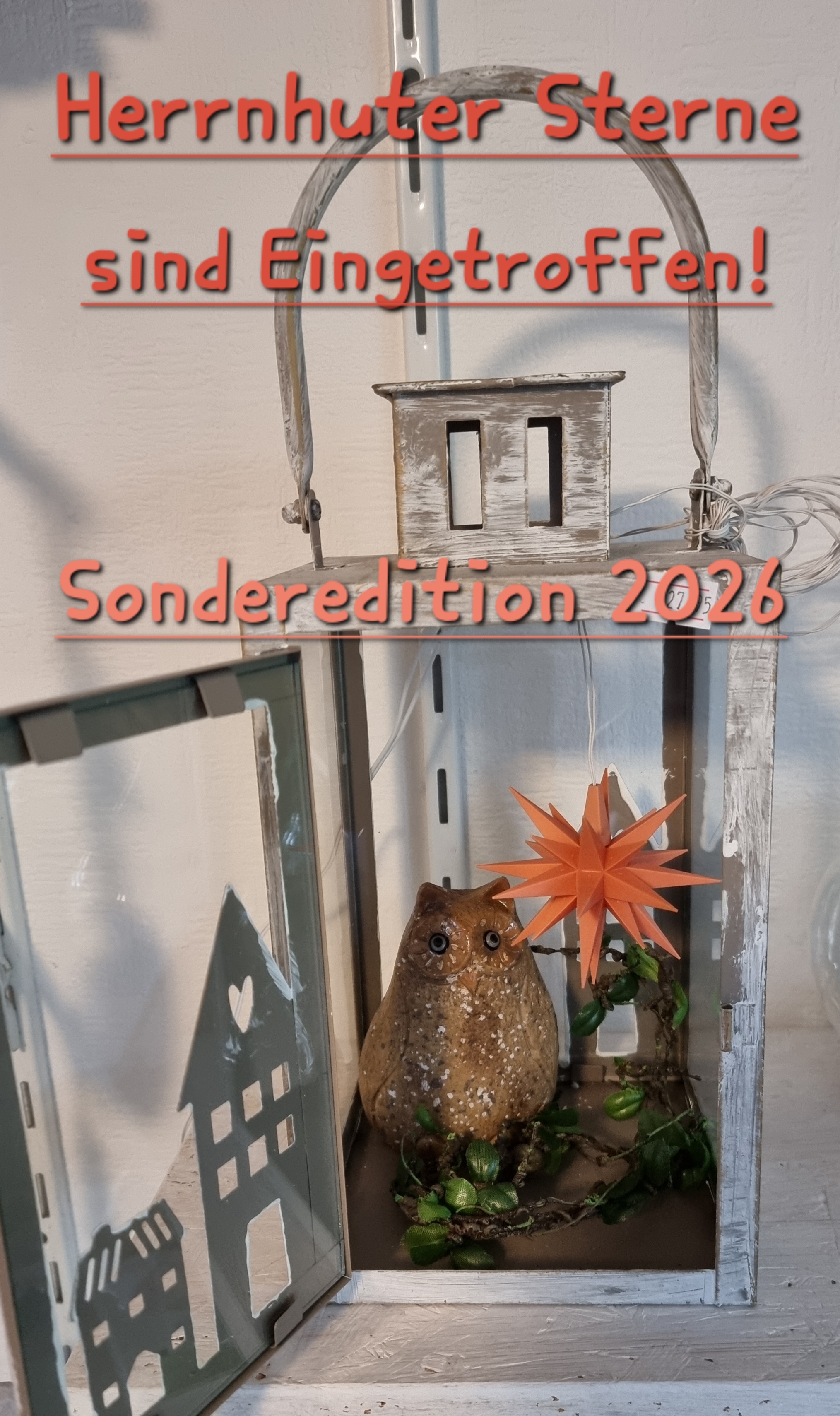 Herrnhuter Sonderedition Apricot 2026